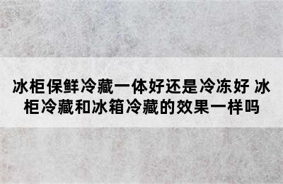 冰柜保鲜冷藏一体好还是冷冻好 冰柜冷藏和冰箱冷藏的效果一样吗